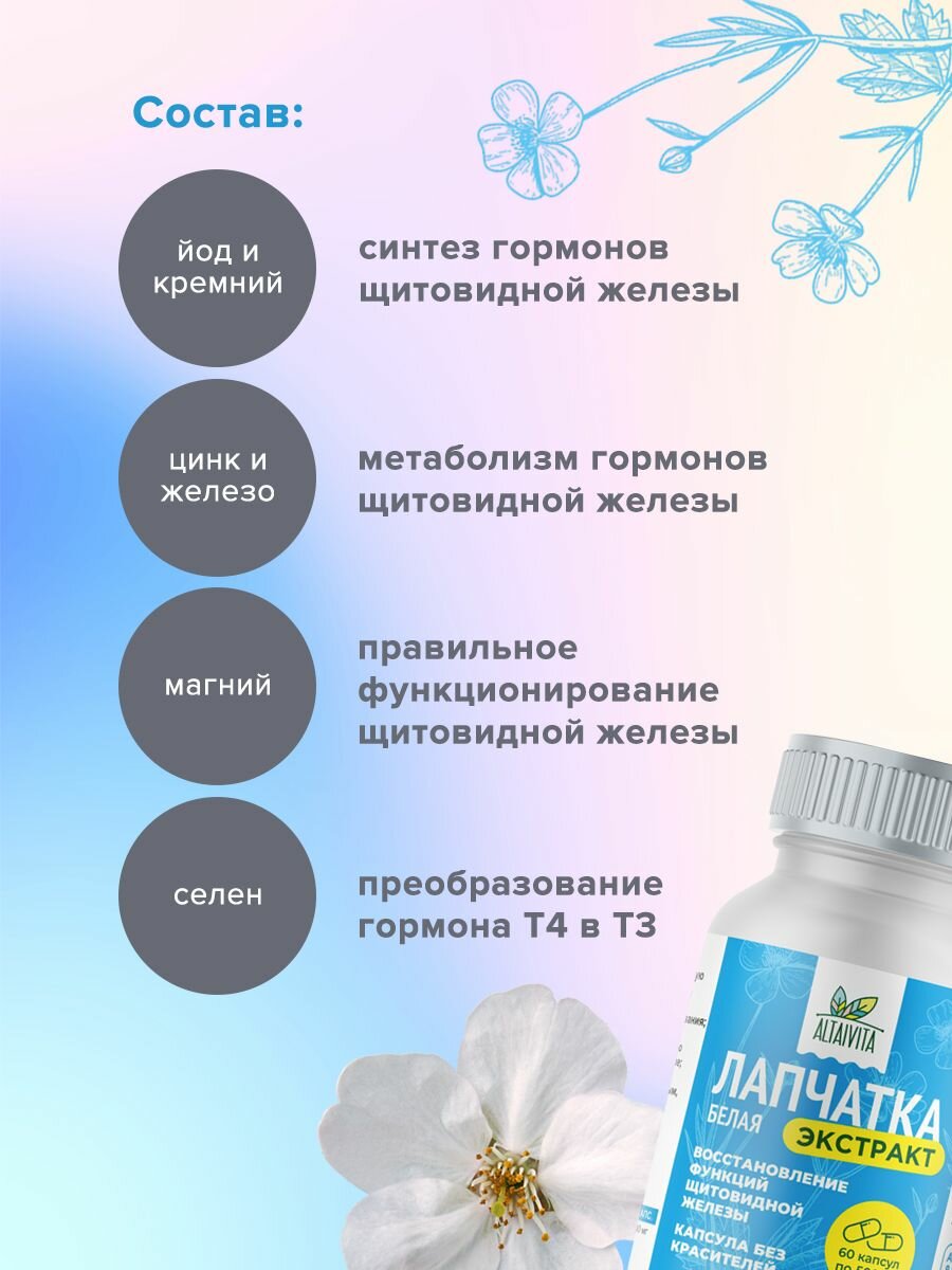 Картинки Лапчатка белая, экстракт для щитовидной железы 60 капсул