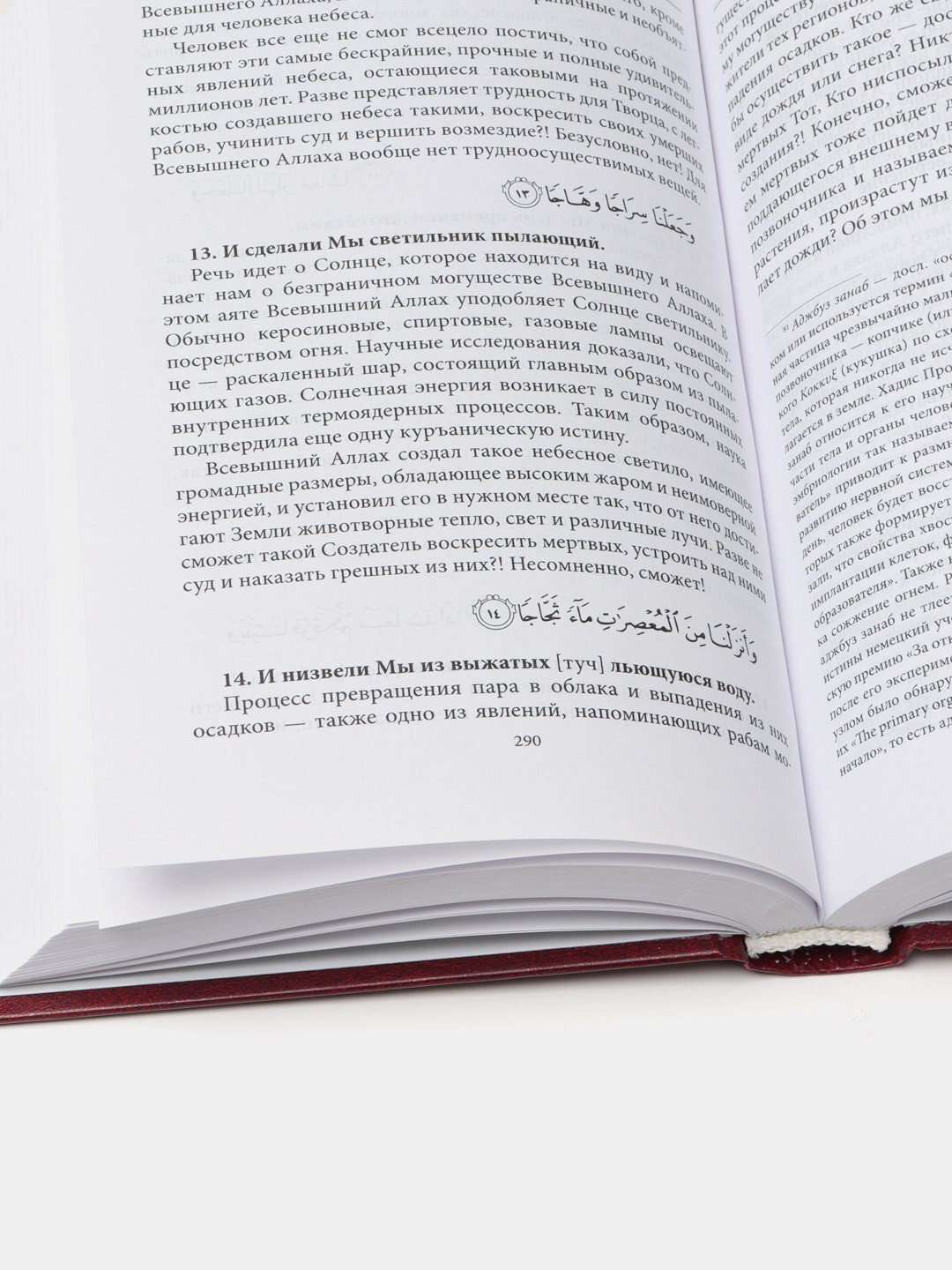 Тафсир хилал 10 том, Шейх Мухаммад ­Садык Мухаммад Юсуф — фото 1