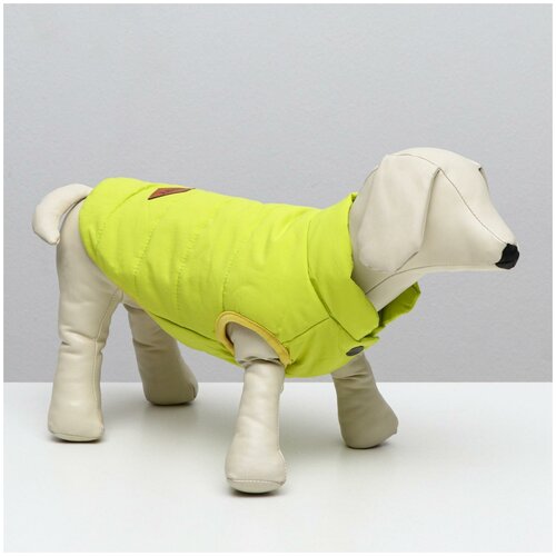фото Куртка для собак, xxl (дс 40 см, ош 35 см, ог 55 см), жёлтая сима-ленд