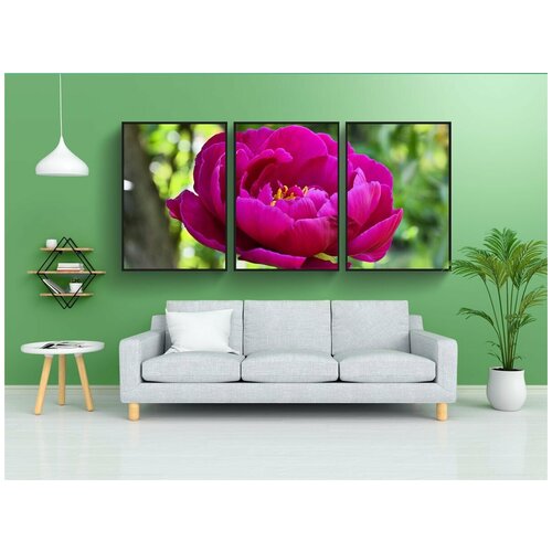 фото Набор модулных постеров для интерьера "пион, цвести, розовый" 60x90 см. в тубусе, без рамки lotsprints