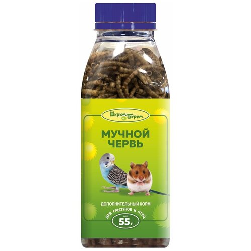 Мучной червь/Лакомства для грызунов/55г Шурум-Бурум/Лакомство для грызунов и птиц