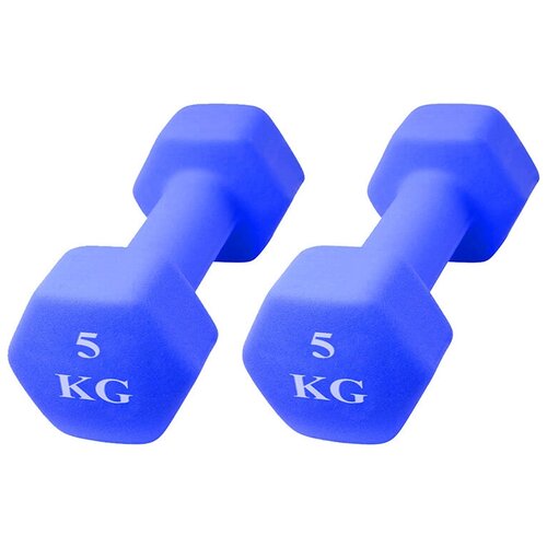 фото Гантели шестиугольные неопреновые,(2х 5 кг) 10 кг, синие icon