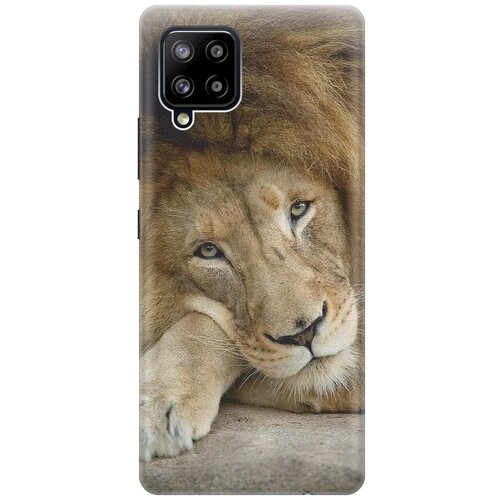 фото Ультратонкий силиконовый чехол-накладка для samsung galaxy a42 с принтом "спокойный лев" gosso