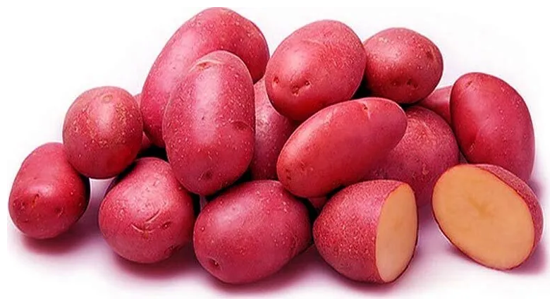 Семенной селекционный картофель Ред Соня репродукция Супер Элита 2 кг
