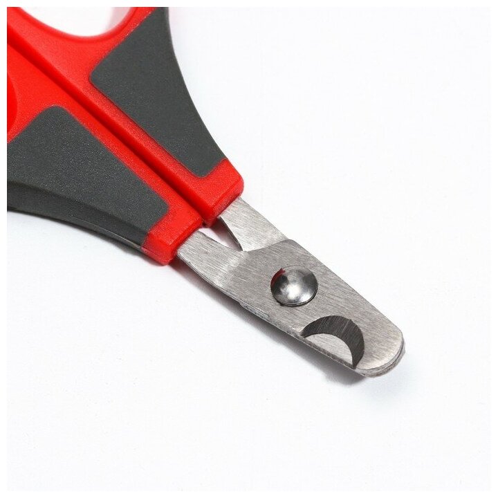 Ножницы-когтерезы изогнутые, отверстие 7 мм, бордовые с серым - фотография № 2