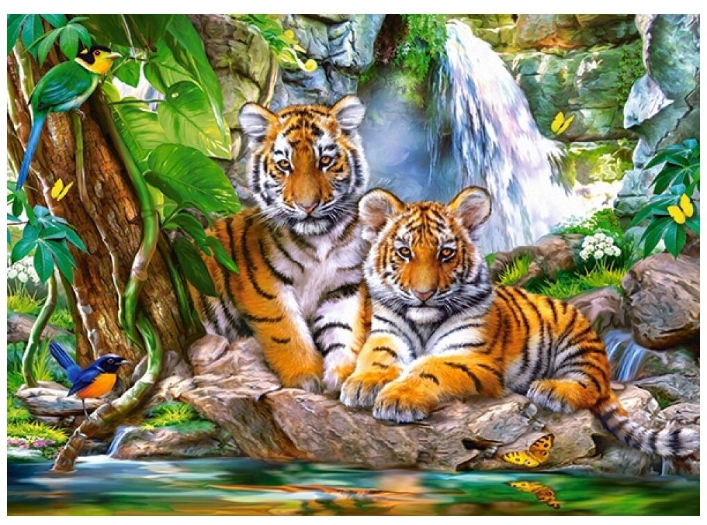 Puzzle-300 "Тигры" (В-030385) Castorland - фото №2