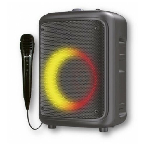 ELTRONIC 20-30 NEW DANCE BOX 100 - аккумуляторная колонка USB Bluetooth караоке LED панель ACTIVE RING 660000₽