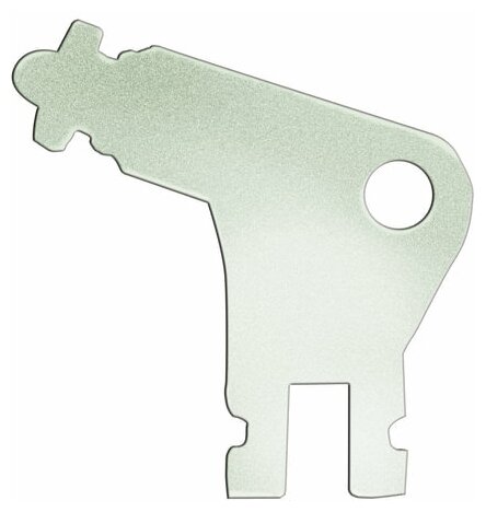 фото Ключ для электронных диспенсеров TORK Wave, металлический, 470092, 4 штуки