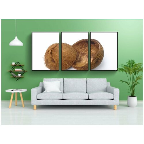 фото Набор модулных постеров для интерьера "оболочка, кокос, скорлупа кокосового ореха" 60x90 см. в тубусе, без рамки lotsprints