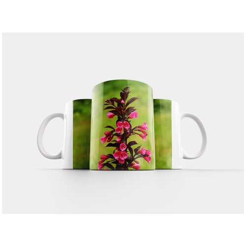 фото Кружка "krzewuszka прекрасна, декоративный кустарник, весна" 320 мл lotsprints