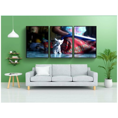 фото Набор модулных постеров для интерьера "котенок, крошечный, милый" 60x90 см. в тубусе, без рамки lotsprints