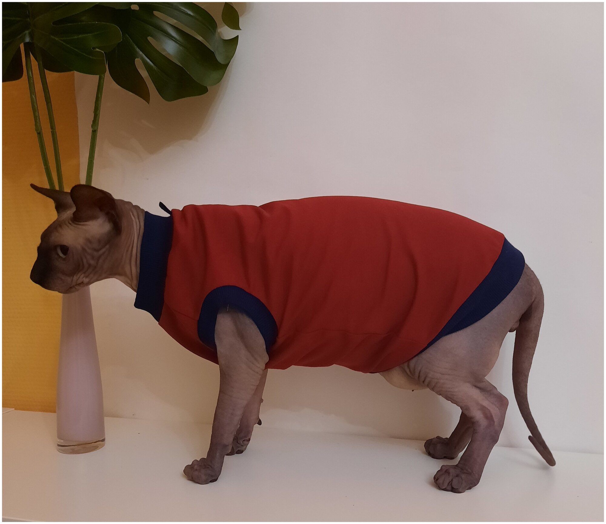 Свитшот для кошек, размер 40 (длина спины 40см), цвет бордовый / толстовка свитшот свитер для кошек сфинкс / одежда для животных - фотография № 8