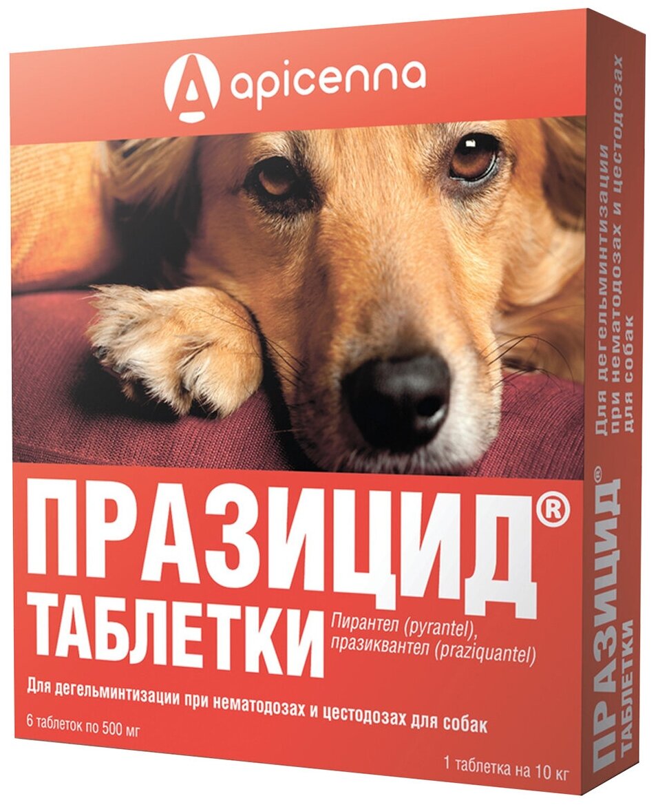Празицид для собак 6 тб по500мг 1 тб. на 10 кг антигельминтик