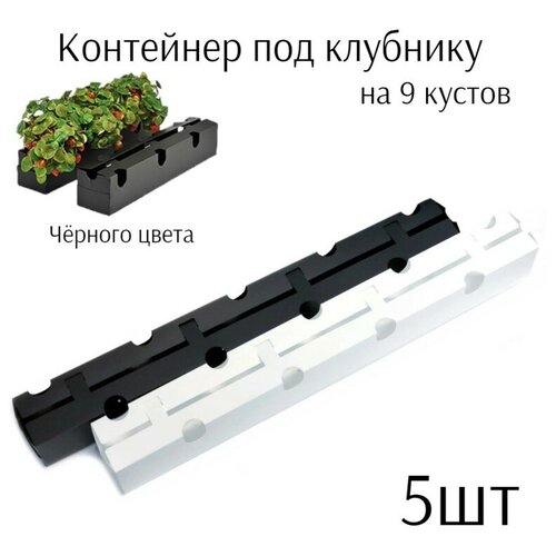 5шт Контейнер под клубнику на 9 кустов чёрный Ящик для выращивания клубники Контейнер для рассады 1899₽