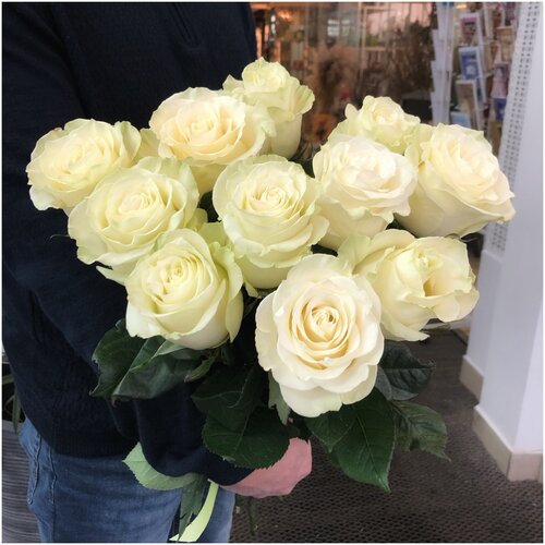 Белые розы 11 штук сорт Mondial (70 см) премиального качества в крафтовой бумаге