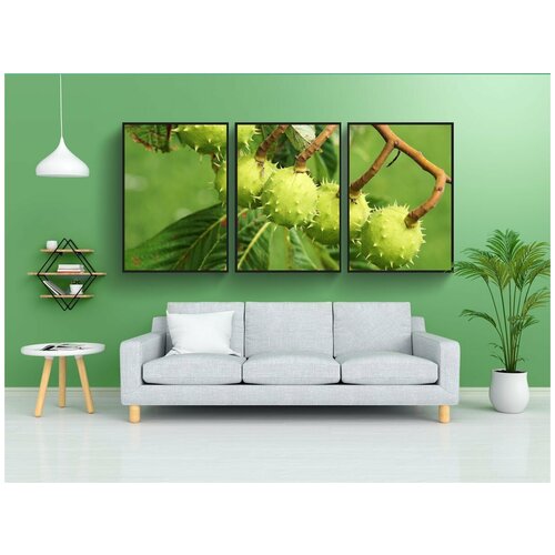 фото Набор модулных постеров для интерьера "каштаны, дерево, листья" 60x90 см. в тубусе, без рамки lotsprints