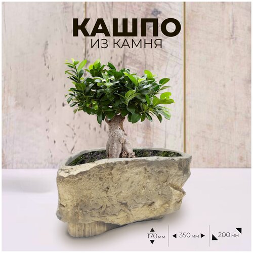 Кашпо для цветов и других растений для дома или сада