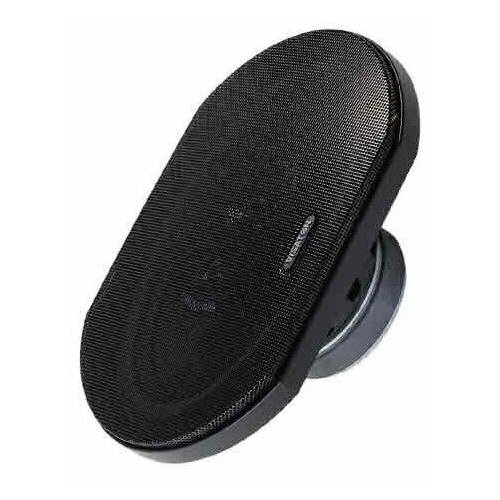 Динамик профессиональный СЧНЧ Visaton DX 6x9 497600₽