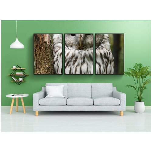 фото Набор модулных постеров для интерьера "животное, клюв, птица" 60x90 см. в тубусе, без рамки lotsprints