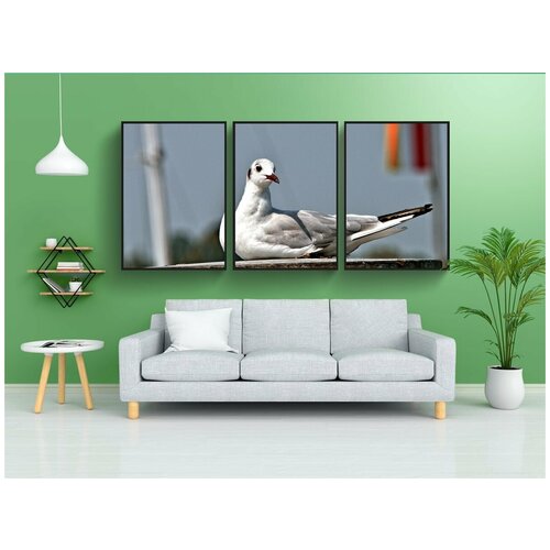 фото Набор модулных постеров для интерьера "чайка, птица, сидя" 60x90 см. в тубусе, без рамки lotsprints