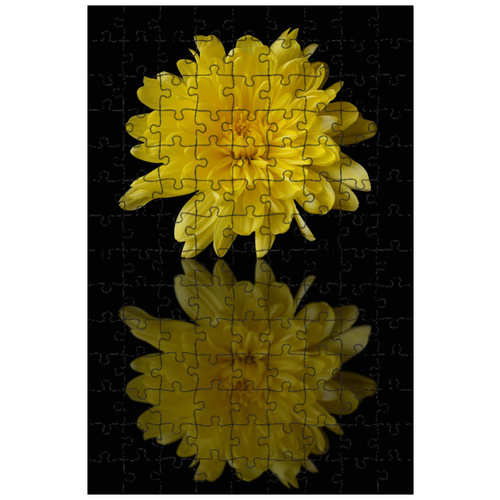фото Магнитный пазл 27x18см."хризантема, желтый, зеркало" на холодильник lotsprints