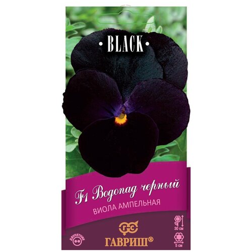 Семена Виола Виттрока Водопад черный F1 Анютины глазки Black 5 шт. виола водопад черный семена цветы