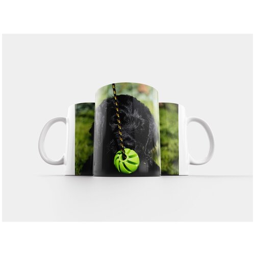 фото Кружка "labradoodle, лабрадор, королевский пудель" 320 мл lotsprints