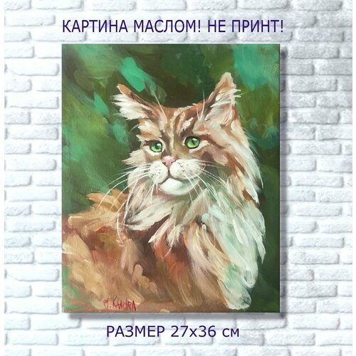 Картина Кот Мейн-кун, Котенок живопись, масло, холст,27х36 см