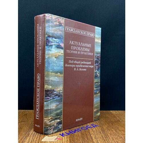 Гражданское право. Актуальные проблемы теории и практики 2007