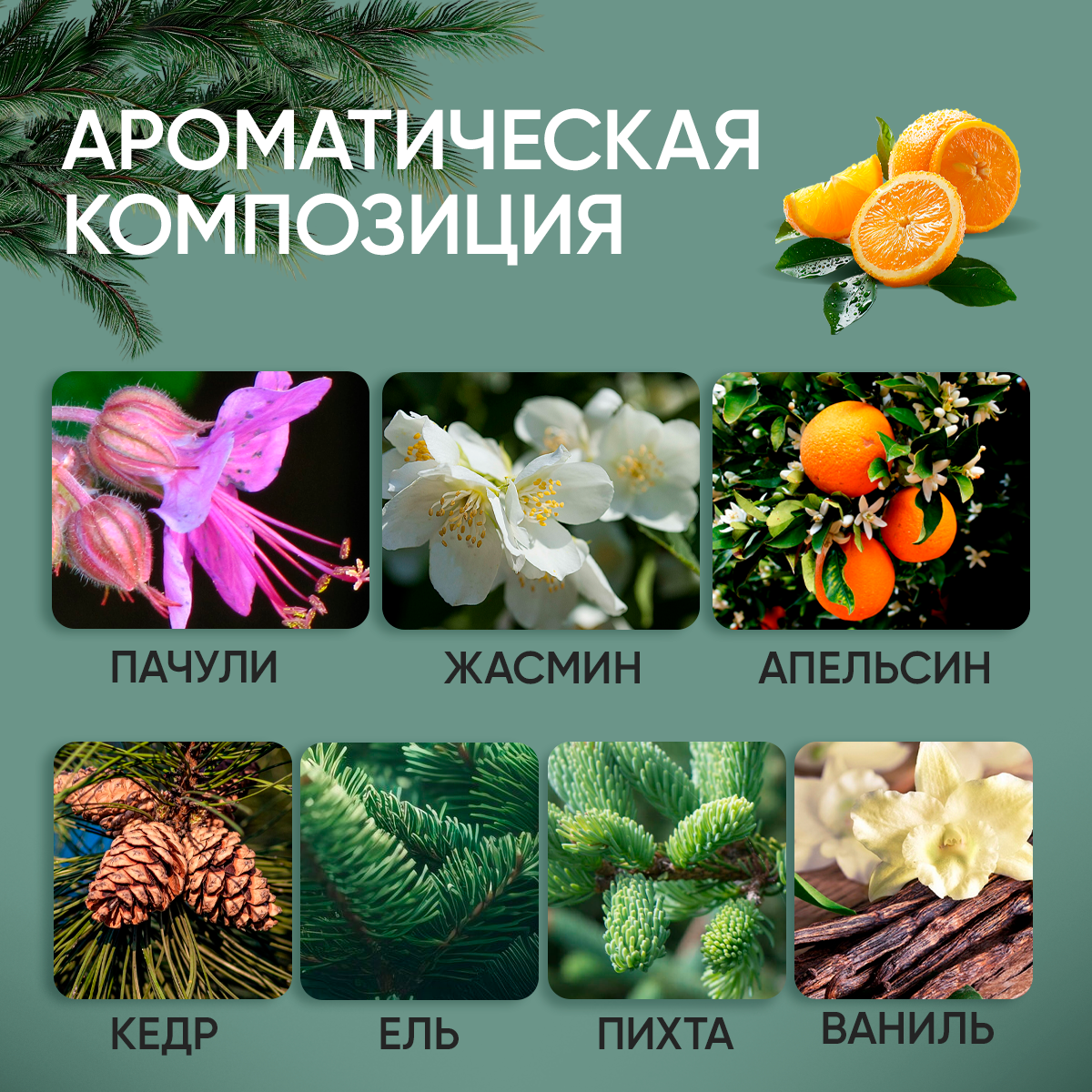 Твердые духи Elska "Таежный мох", фужерный аромат, мужские духи, 10 мл — фото 1