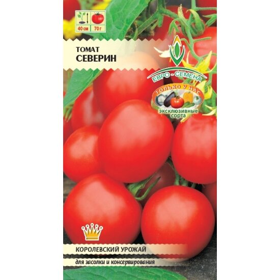 Томат Северин F1 0,1г Дет Ср (Евро-Семена)