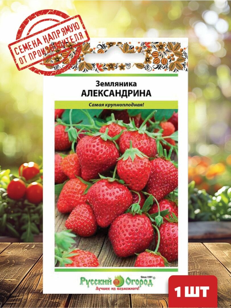 Земляника Александрина