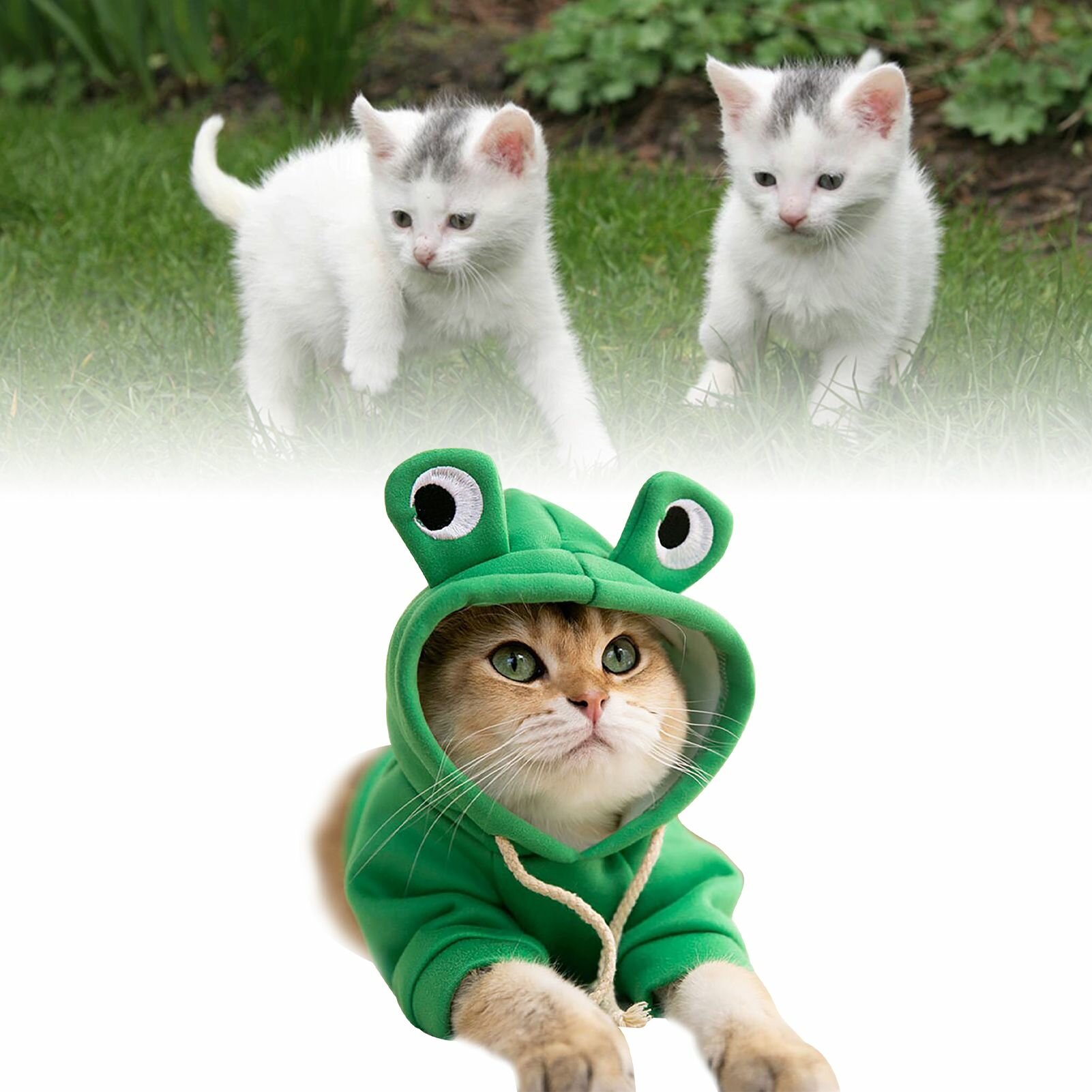 Толстовки с кошками, стильные милые животные, осенне-зимний теплый очаровательный костюм кота для кошек, котят, щенков, большеглазая лягушка в костюме M (рекомендуемый вес 2,5 4 кг/5,5 8,8 фунтов)