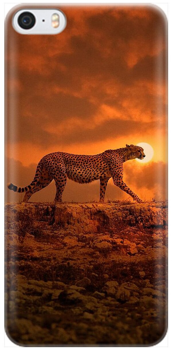Силиконовый чехол на Apple iPhone SE / 5s / 5 / Эпл Айфон 5 / 5с / СЕ с рисунком "Закатный гепард"