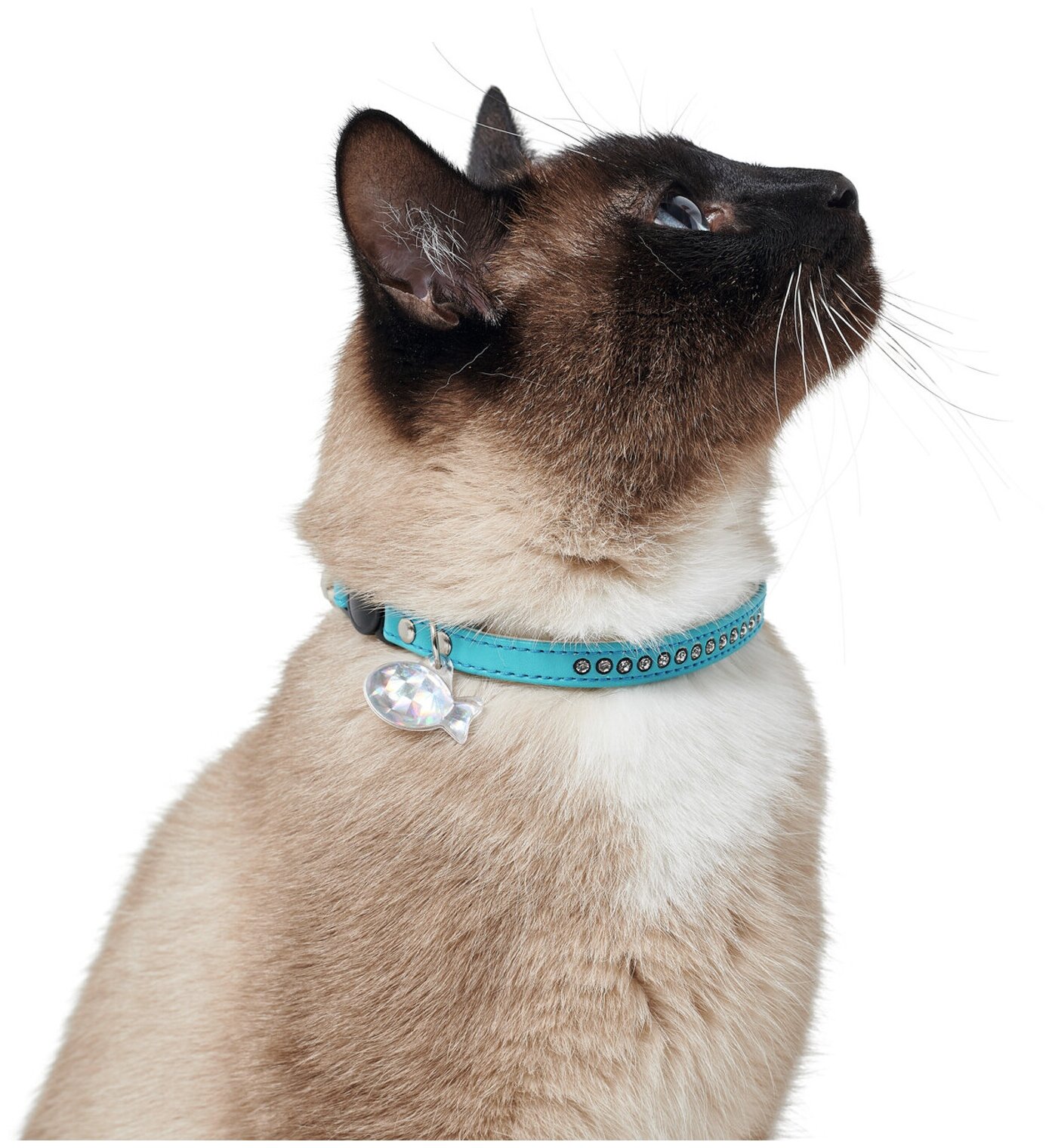 Ошейник для кошек Hunter Smart Modern Luxus кожзам со стразами бирюзовый (1 шт) - фотография № 7