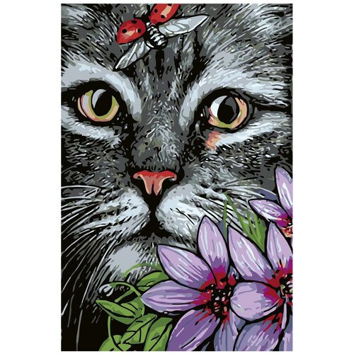 белогрудый котик раскраска картина по номерам на холсте Котик Раскраска картина по номерам на холсте