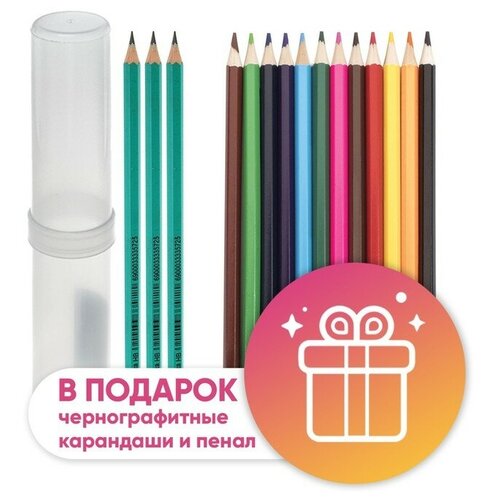 Карандаши 12 цветов Calligrata, эконом, заточенные, шестигранные, пластиковые, пенал-тубус и 3 чернографитных карандаша с ластиком в подарок