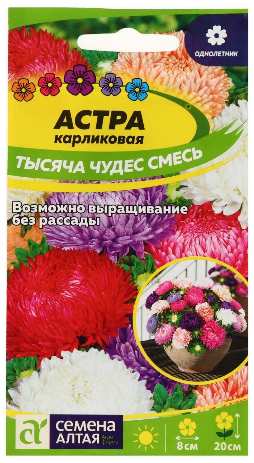 Семена цветов Астра "Тысяча чудес" карликовая смесь 02 г