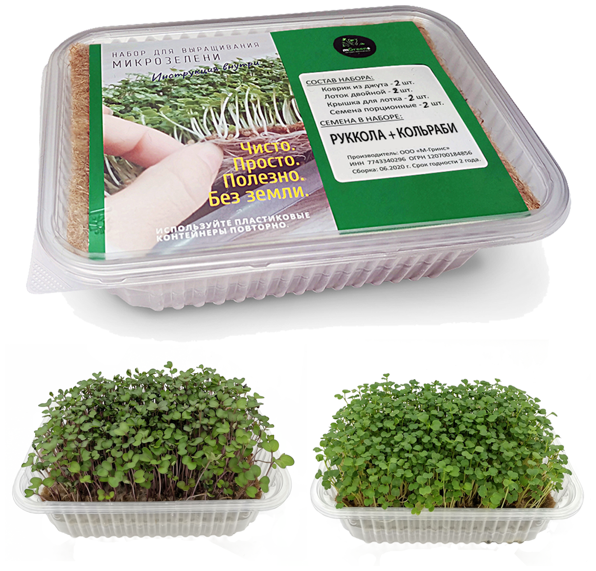 Микрозелень. Руккола + Кольраби - два урожая микрозелени из одного набора. Набор для выращивания микрозелени mGreens.