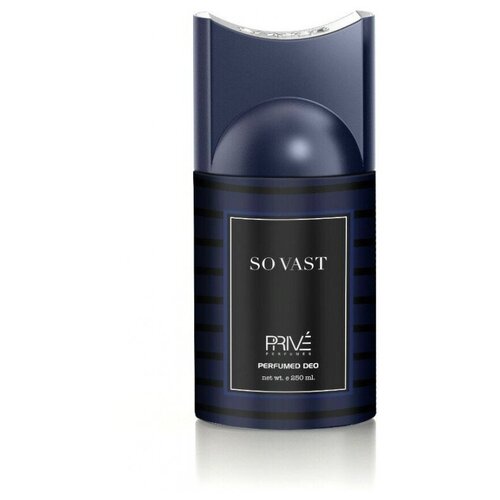 Мужской парфюмированный дезодорант PRIVE SO VAST 250 мл
