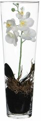Искусственная орхидея фаленопсис в высокой вазе, белый, 50 см, Edelman, Mica 950251