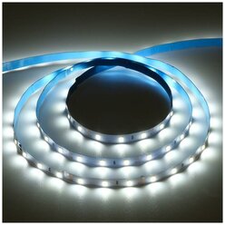 Светодиодная лента Ecola PRO, 12В, SMD3528, 5 м, IP20, 4.8Вт/м, 60 LED/м, 6000К