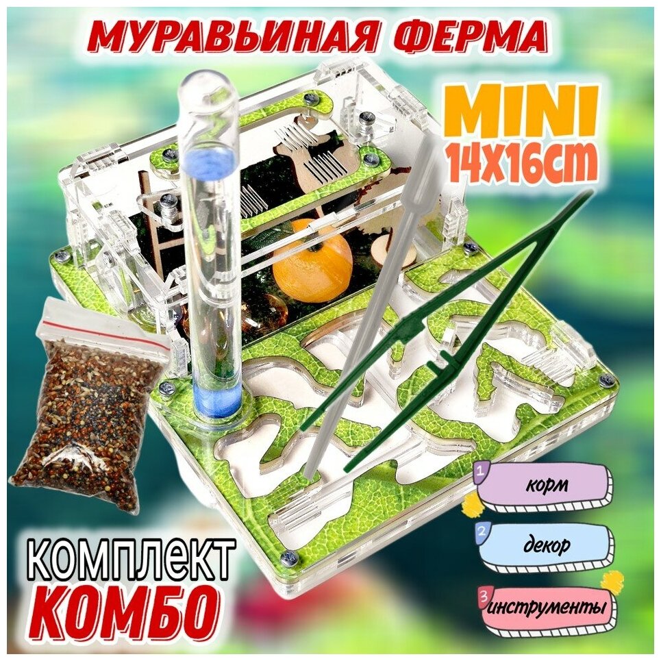 Муравьиная ферма MINI Комбо 16х14 Лето - фотография № 1