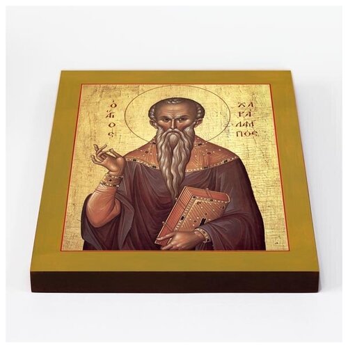 Священномученик Харалампий Магнезийский, икона на доске 20*25 см