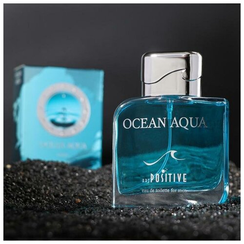 Туалетная вода мужская OCEAN AQUA, 100 мл 7262112