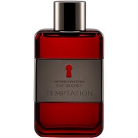 Antonio Banderas Туалетная вода The Secret Temptation, 100 мл