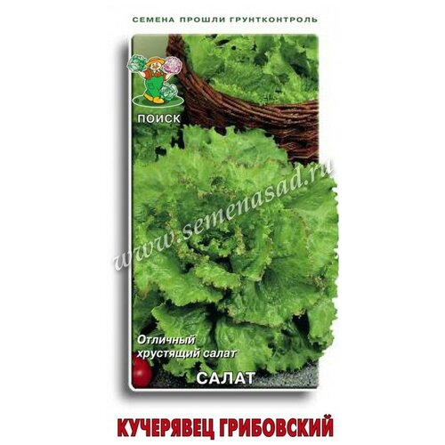 Салат Кучерявец Грибовский 470498 семена семетра салат кучерявец грибовский