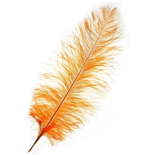 Перо для декора длина от 45 до 50 см цвет персиковый 336₽