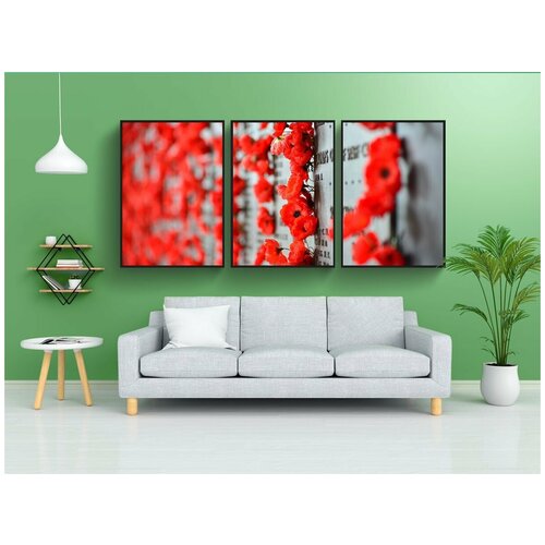 фото Набор модулных постеров для интерьера "военный мемориал, канберра, маки" 60x90 см. в тубусе, без рамки lotsprints
