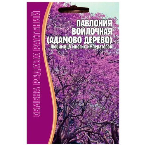 Семена Павлонии войлочной (Адамово дерево) (10 семян) павловния войлочная императорское дерево